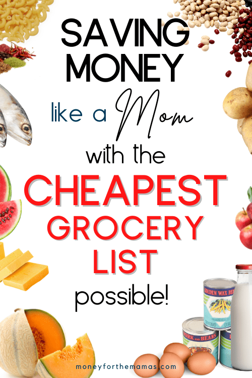 saving money like a MOM with the cheapest grocery list possible