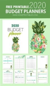 30 Free Printable Budget Templates (Get Your Perfect Budget Now)