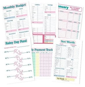 30 Free Printable Budget Templates (Get Your Perfect Budget Now)